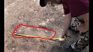 World Bigfoot TV/Montana Bigfoot Project ~ May 2023 field report: Did I find a Mountain Giant track?