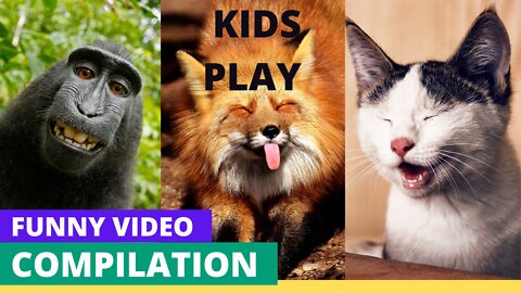FUNNY VIDEOS OF KIDS WITH FYNNY ANIMALS