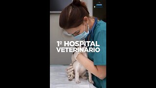📢 Miguel Pereira em Destaque: Saiba das Novidades - Projeto do Hospital Veterinário ( Miguel Pereira in the spotlight: Find out what's new - Veterinary Hospital Project)
