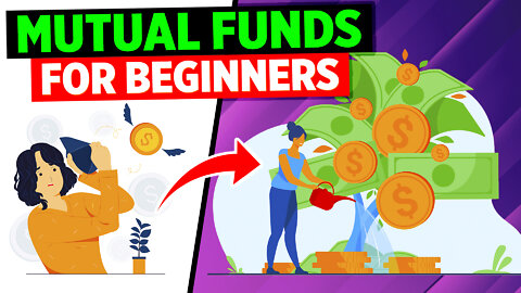 Mutual Fund for Beginners! How to Select the best Mutual Fund?