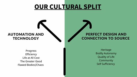The Culture Split Where Will You Stand