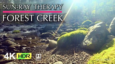 Nature Light Therapy Video - Fearless Energy - Mossy Forest Creek Sun Rays in HDR