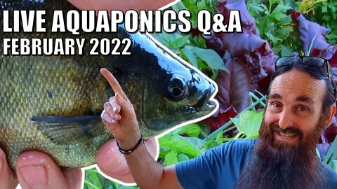 LIVE Aquaponics Q&A With Rob & B 🐟🌿🥦