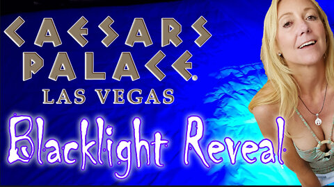 What did our Black-light find in our Caesars Palace room?