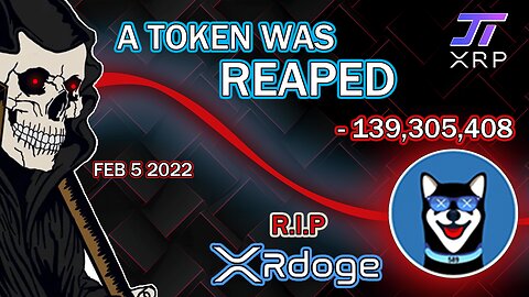 Reaping Report - XRDoge Got Reaped! - February 5 -