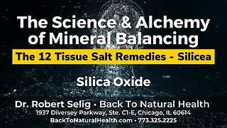 The 12 Tissue Salt Remedies - Silicea
