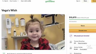 Vega's Wish: Go Fund Me raises enough to send a two-year-old battling Leukemia to Disney