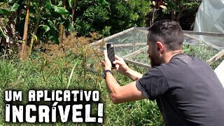 Descubra o nome de QUALQUER planta! - Chácara SV