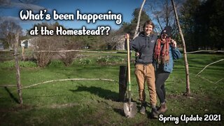 Big Spring Homesteading Update!!