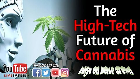 The High-Tech Future of Cannabis: Exploring the Impact of AI on the Industry | Cannabis News | #133
