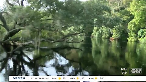 Take a ride on an airboat in the heart of Sebring