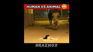 HUMAN VS ANIMAL