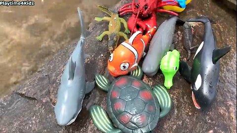 Kids sea animal toys at the shore