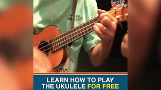 Free ukulele lessons in Tampa Bay? Where you can learn how to play