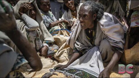 Millions of Ethiopians go hungry again as US, UN pause aid after massive theft