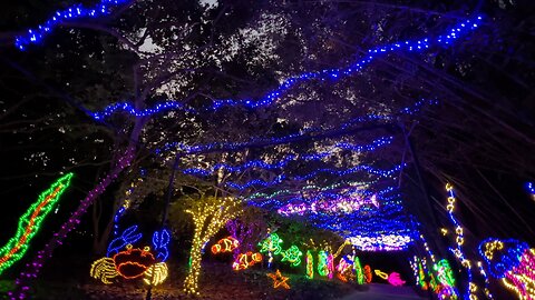 Magic Christmas in Lights at Bellingrath Gardens and Home