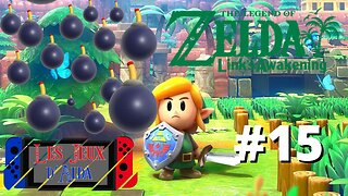 C'EST DE LA BOMBE ! - Let's Play : Link's Awakening part 15