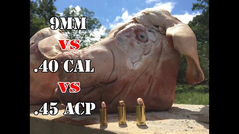 9mm vs .40 Cal vs .45 ACP... Pig Head Test