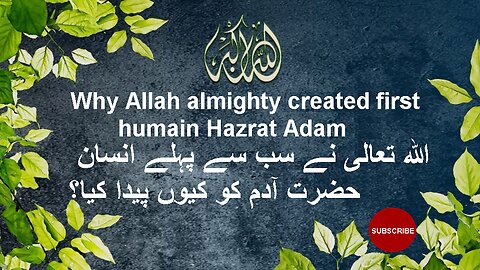 Hazrat Adam |اللہ تعالی نے سب سے پہلے انسان حضرت آدم کو کیوں پیدا کیا؟ |ISLAMIC HISTORY