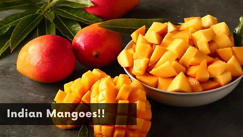 Foreigners trying Indian Mangoes for the first time!!😛😛🥭🥭