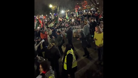 Pro-Hamas Protesters Take Over Boston Common