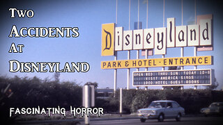 Two Accidents at Disneyland | Fascinating Horror
