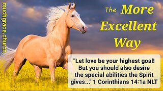 The More Excellent Way (6) : The Spirit of Love