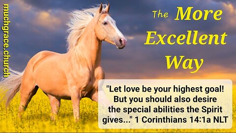 The More Excellent Way (6) : The Spirit of Love