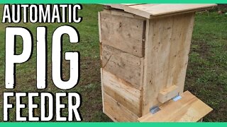 How to Build An Automatic Pig Feeder ||Save Money by Using Scrap Wood|| DIY||