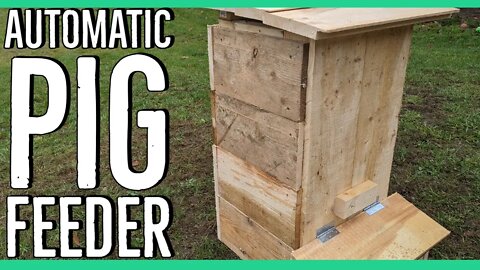 How to Build An Automatic Pig Feeder ||Save Money by Using Scrap Wood|| DIY||