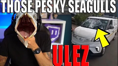 ULEZ Camera van Decimated by SEAGULLS? #ulez #ulezexpansion