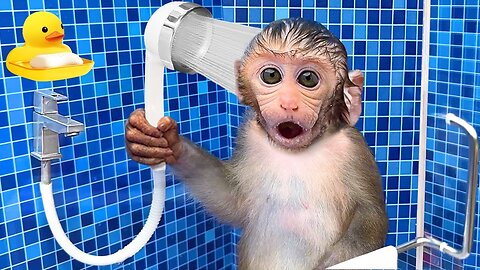 Funny video Monkey Baby Bon Bon Bathing In The Bathroom