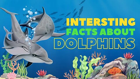 Interesting Facts About Dolphins | Sharks Facts for Dolphins | Dolphins for Kids