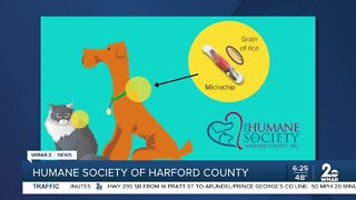 Humane Society of Harford County on the importance of getting your pet a microchip