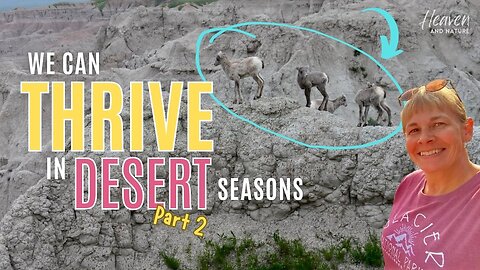 Bible Study: How to Thrive through Desert Seasons