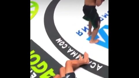 Spinning Back Kick KO