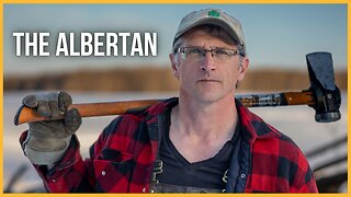 🔴 The Albertan | Cattle Farming