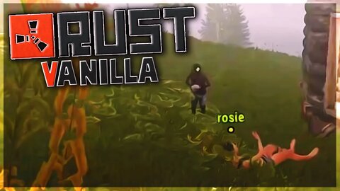 RUST - ACHEI UM INICIANTE NO MEIO DA LIVE!!