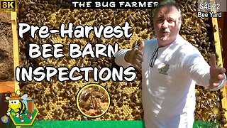 Pre-Harvest Bee Barn Inspection | Inspecting all bee barns before next weeks harvest #beekeeping #8K