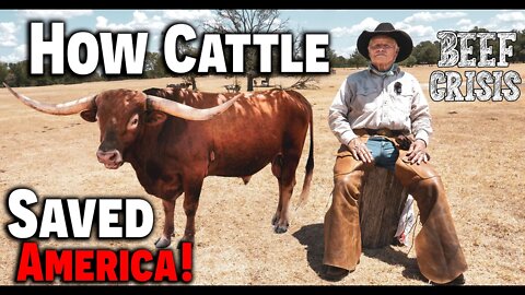 How Cattle (SAVED) America! (WARNING!) From A Texas Rancher ~ Beef Crisis ~ Food Shortage