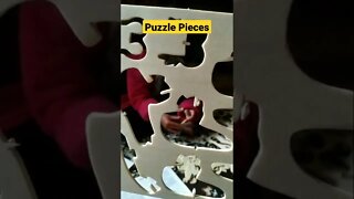 #shorts #puzzlegame #funtime