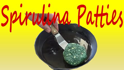 Spirulina Patties