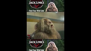 Craziest Commercial Ever!? Jack Links - Feed Your Wild Side #shorts #funny #crazy #beefjerky