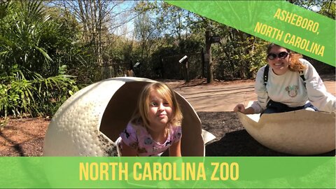 North Carolina Zoo at Asheboro (Roam with Us!)