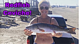 Texas Redfish Catch and Cook / How To Make Ceviche