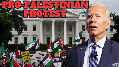 Pro-Palestinian Protesters Have Breached The White House Lawn