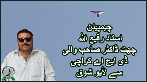 As Live From Karachi Champion Ustad Rafi-ULLAH Chat Dr Sb Wali DHA Karachi #faisal #pigeon