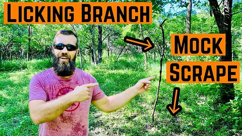 MOCK SCRAPE and LICKING BRANCH Setup!!! (Super Simple)