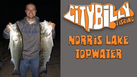 Topwater Bank Fishing for Norris Lake Stripers