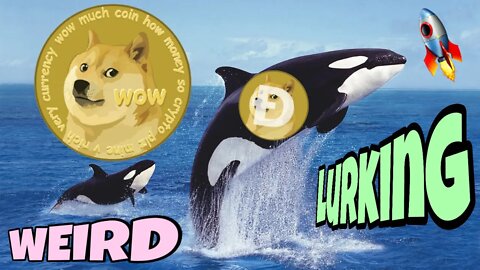 The Most Mysterious Dogecoin Whale ⚠️